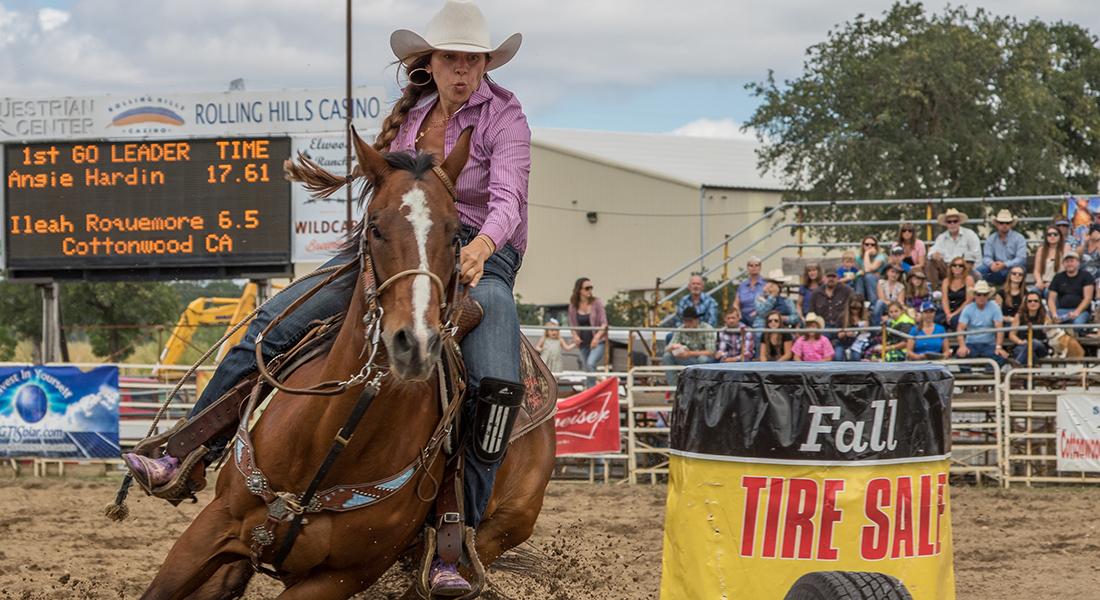 Barrel racing. Photo: Michael Turner, Dreamstime
