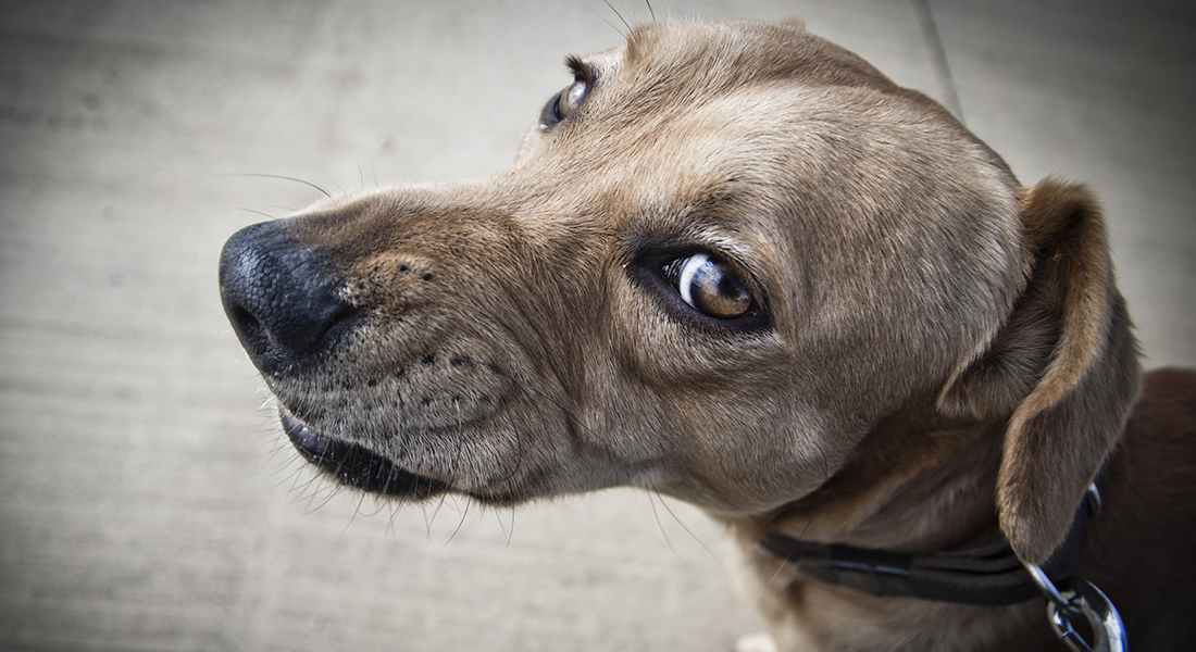 Photo: Juan Jose Tugores, Dreamstime