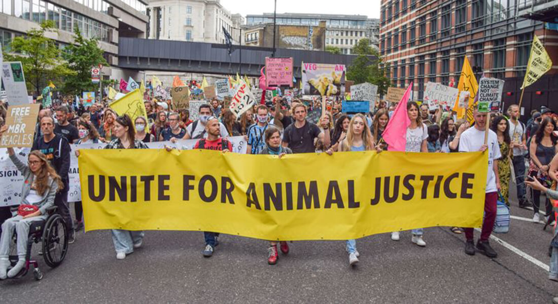 Demonstration for animal justice. Photo: VVShots, Dreamstime